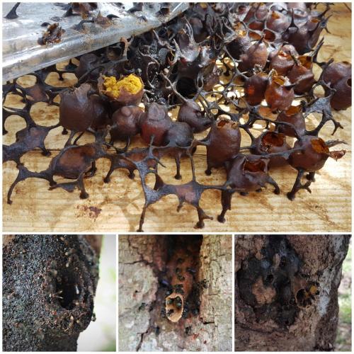 PicsArt_11-30-05.42.41