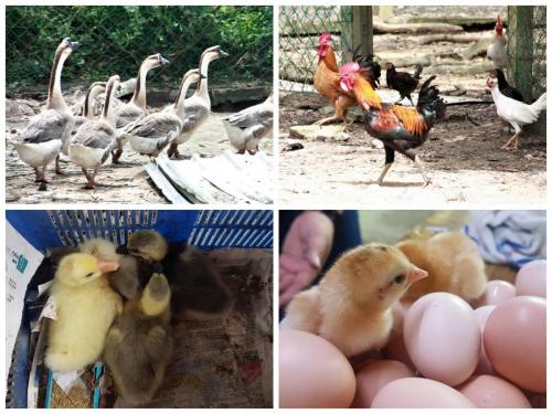 PicsArt_11-30-05.53.43