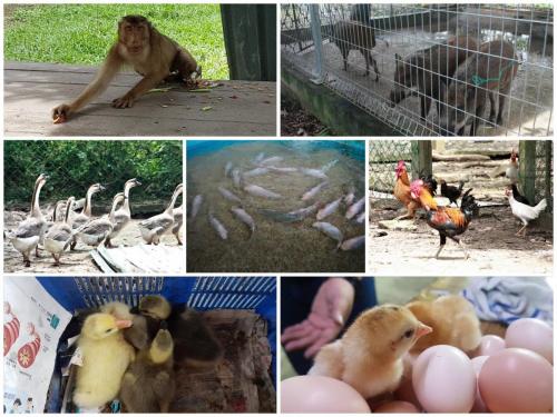 PicsArt_11-30-05.57.56