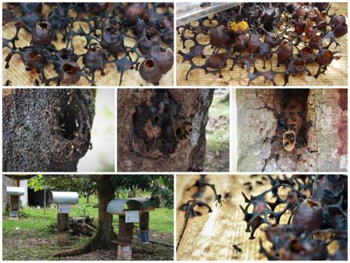 PicsArt_11-30-06.03.22