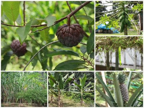 PicsArt_11-30-06.19.24