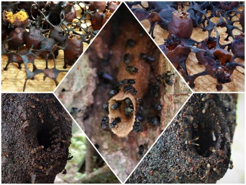 PicsArt_11-30-06.25.22